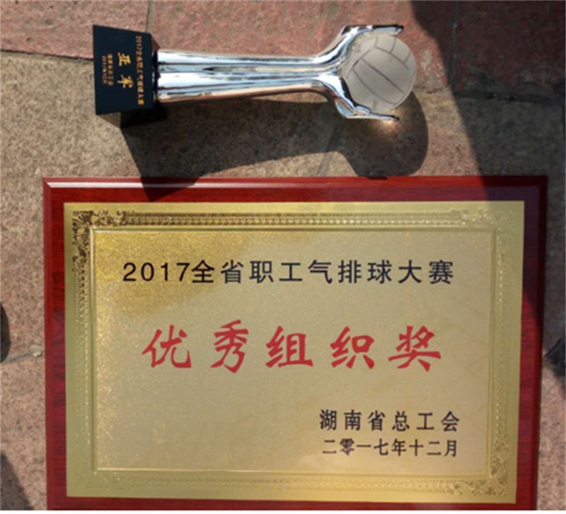 我校气排球队获省总会举办的2017年气排球比赛亚军、优秀组织奖